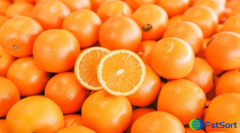 images/1694074848896Spanish citrus sorting line.jpg